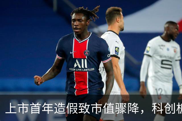 上市首年造假致市值骤降，科创板首例退市鲸落