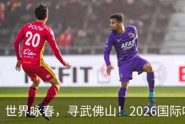 世界咏春，寻武佛山！2026国际咏春拳大赛7月开赛
