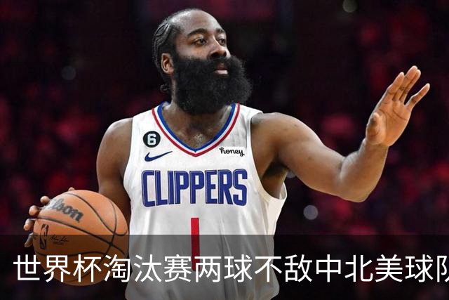 世界杯淘汰赛两球不敌中北美球队！波黑是欧洲历史第二队
