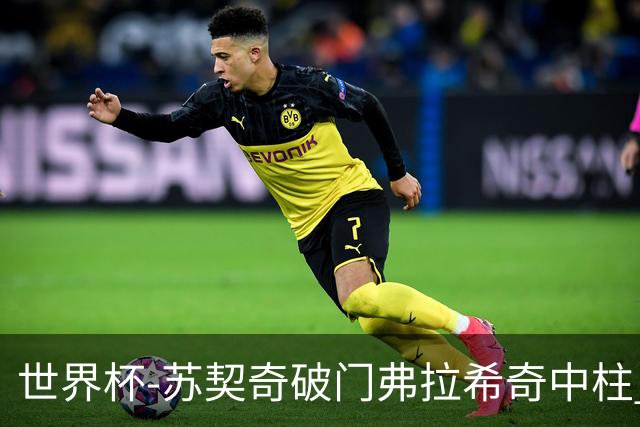 世界杯-苏契奇破门弗拉希奇中柱 克罗地亚半场1-0加纳
