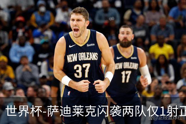 世界杯-萨迪莱克闪袭两队仅1射正 捷克半场暂1-0南非