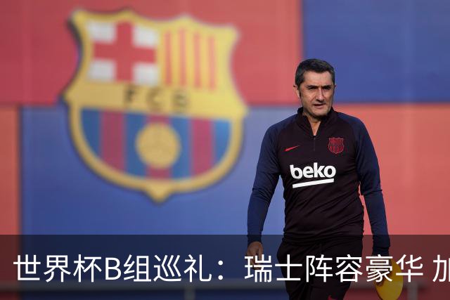世界杯B组巡礼：瑞士阵容豪华 加拿大主场优势明显
