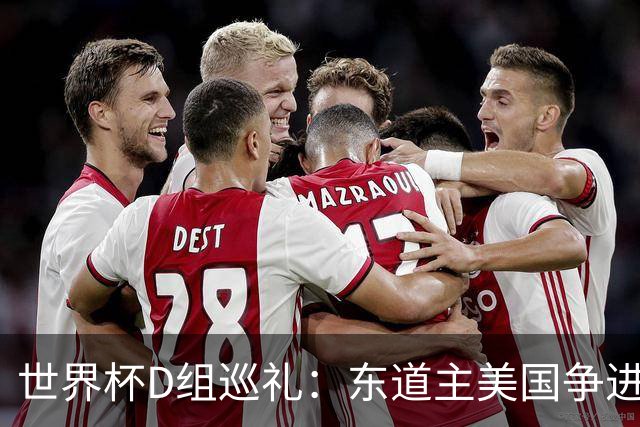 世界杯D组巡礼：东道主美国争进8强 土耳其巴拉圭澳洲混战