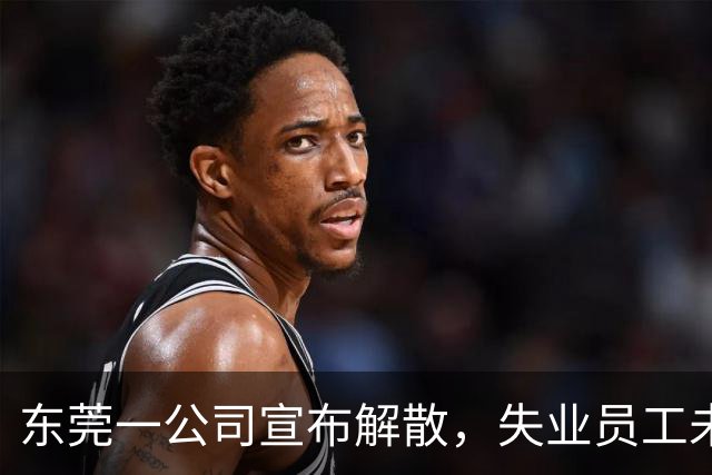 东莞一公司宣布解散，失业员工未来何去何从？