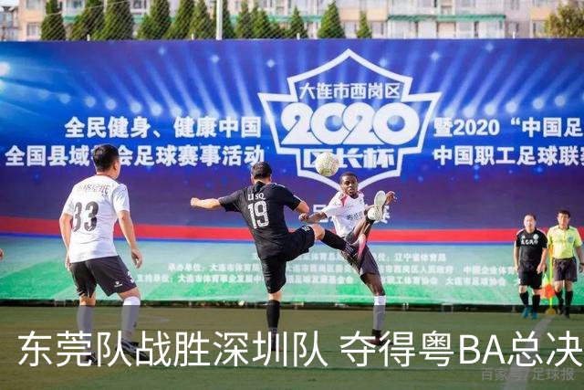 东莞队战胜深圳队 夺得粤BA总决赛冠军