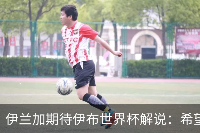 伊兰加期待伊布世界杯解说：希望他多给予赞美