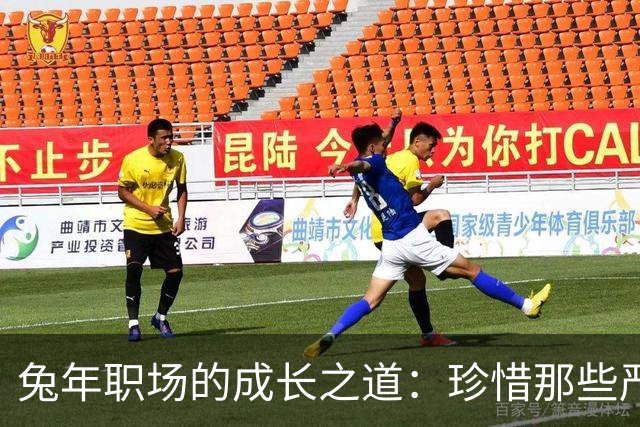 兔年职场的成长之道：珍惜那些严苛的反馈