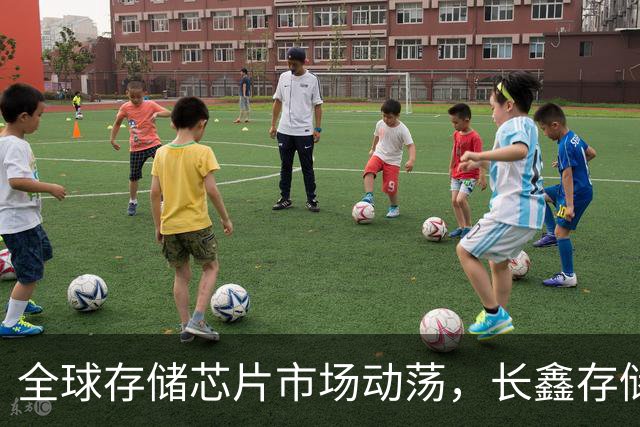 全球存储芯片市场动荡，长鑫存储引发关注