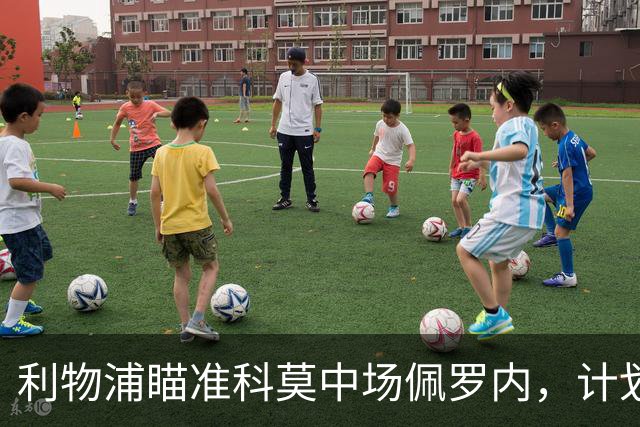 利物浦瞄准科莫中场佩罗内，计划替代麦卡利斯特