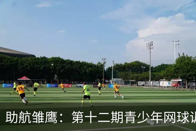 助航雏鹰：第十二期青少年网球训练营圆满落幕，未来之星展翅高飞