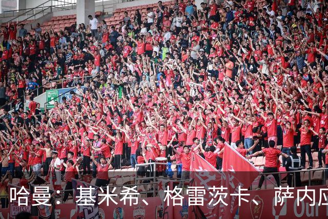 哈曼：基米希、格雷茨卡、萨内应退出国家队 新人需要机会