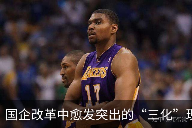 国企改革中愈发突出的“三化”现象分析
