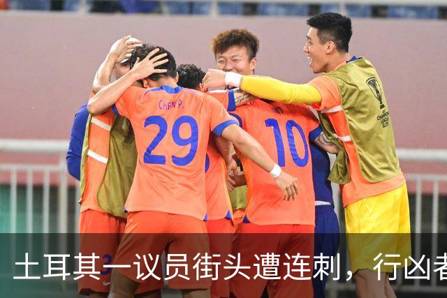 土耳其一议员街头遭连刺，行凶者为前党魁且有多项前科