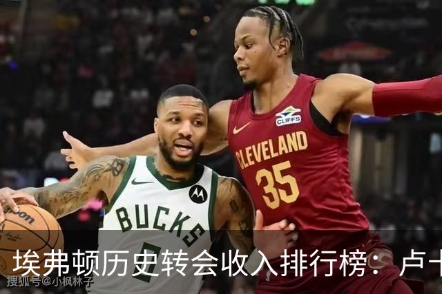 埃弗顿历史转会收入排行榜：卢卡库高居首位