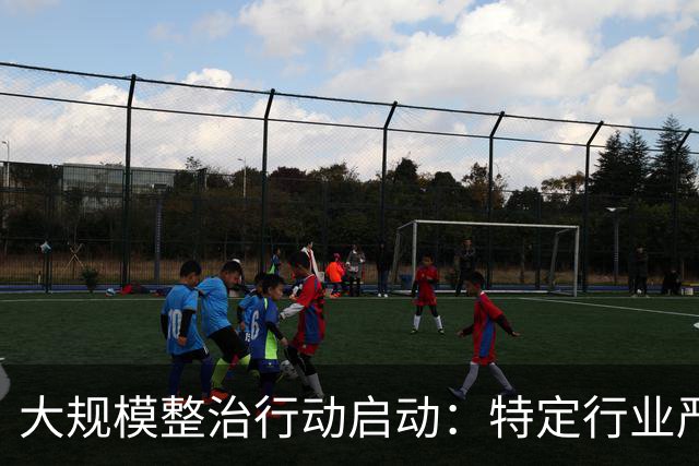 大规模整治行动启动：特定行业严查违规行为