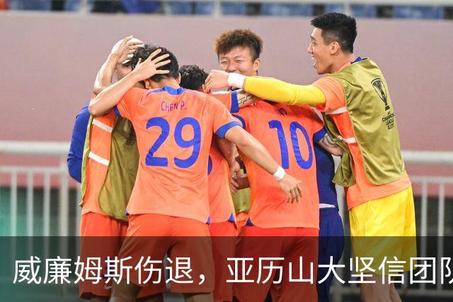 威廉姆斯伤退，亚历山大坚信团队力量