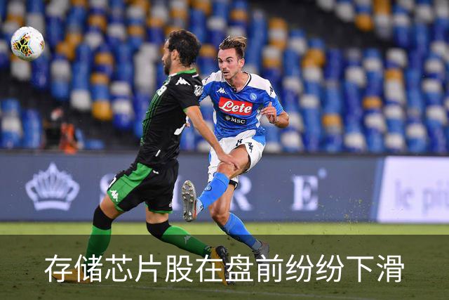 存储芯片股在盘前纷纷下滑