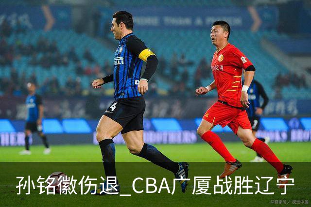 孙铭徽伤退 CBA广厦战胜辽宁