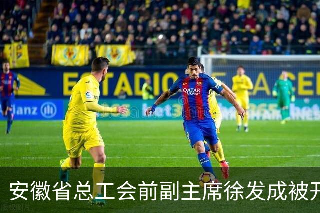 安徽省总工会前副主席徐发成被开除党籍与公职
