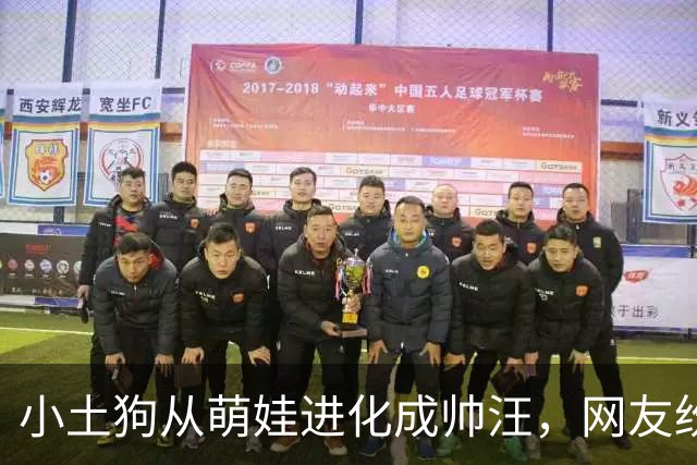 小土狗从萌娃进化成帅汪，网友纷纷改口