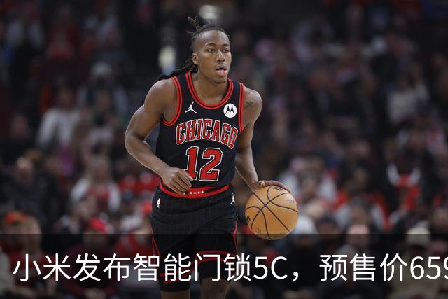 小米发布智能门锁5C，预售价659元