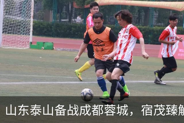 山东泰山备战成都蓉城，宿茂臻解读主力伤情及心态调整