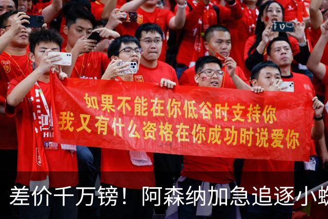 差价千万镑！阿森纳加急追逐小蜘蛛，西甲死敌堵路只剩枪手唯一机会