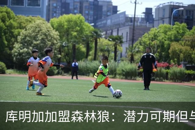 库明加加盟森林狼：潜力可期但与首发4号位仍有差距