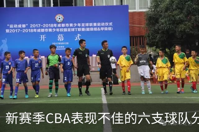 新赛季CBA表现不佳的六支球队分析