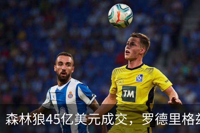 森林狼45亿美元成交，罗德里格兹增持继续留任