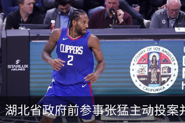 湖北省政府前参事张猛主动投案并进入调查程序