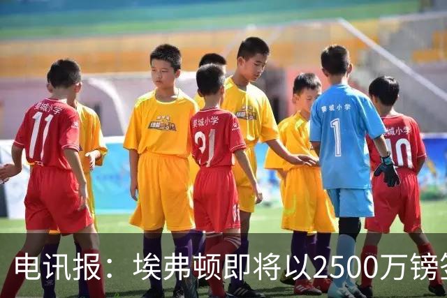 电讯报：埃弗顿即将以2500万镑签下米堡中场哈克尼