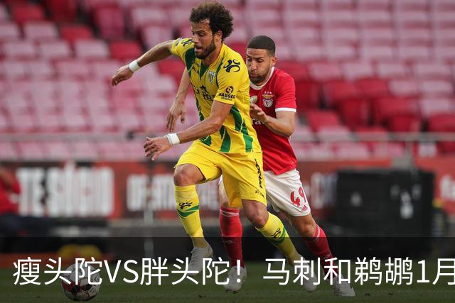瘦头陀VS胖头陀！马刺和鹈鹕1月将在巴黎和曼城进行两场全球赛