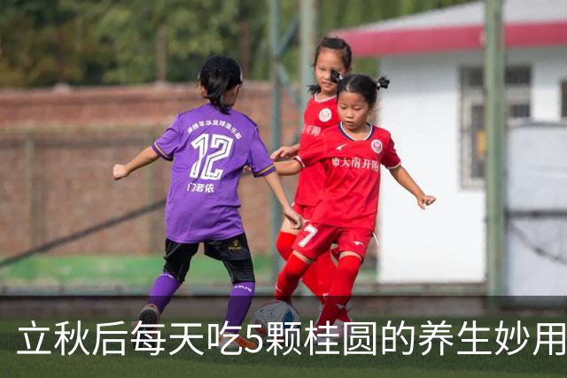 立秋后每天吃5颗桂圆的养生妙用