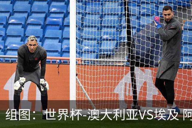 组图：世界杯-澳大利亚VS埃及 阿舒尔头球破门