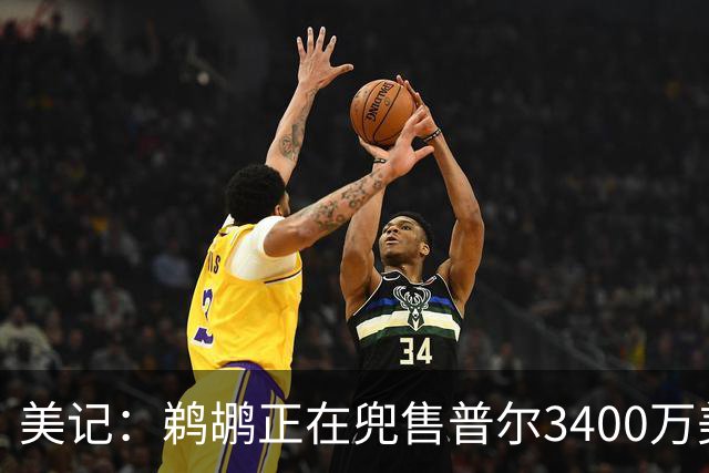 美记：鹈鹕正在兜售普尔3400万美元到期合同 想引进即战力