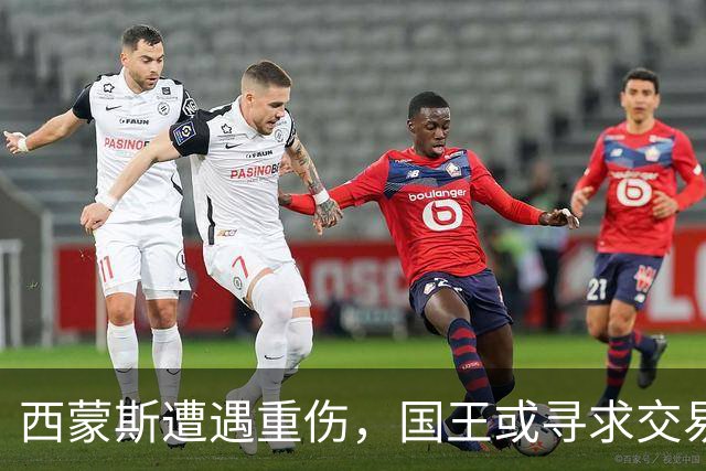 西蒙斯遭遇重伤，国王或寻求交易引进新秀