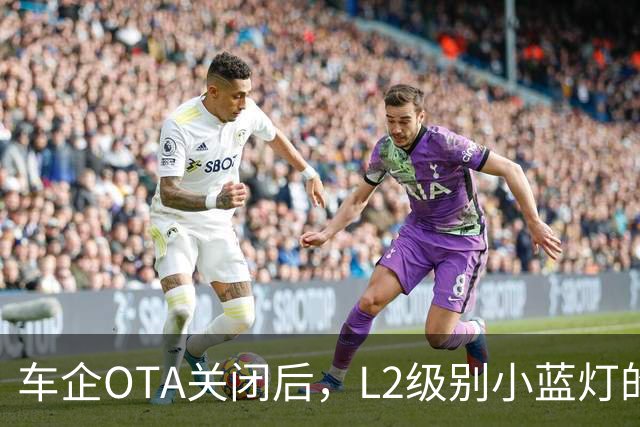 车企OTA关闭后，L2级别小蓝灯的未来何去何从？