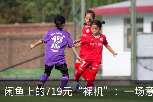闲鱼上的719元“裸机”：一场意外的拆解热潮
