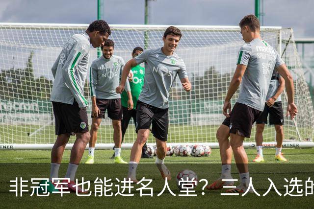 非冠军也能进名人堂？三人入选的背后理由