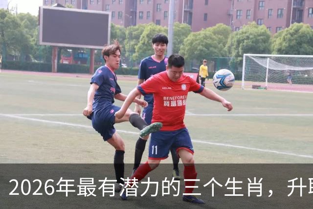 2026年最有潜力的三个生肖，升职加薪不再是梦