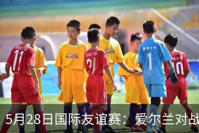 5月28日国际友谊赛：爱尔兰对战卡塔尔的精彩前瞻